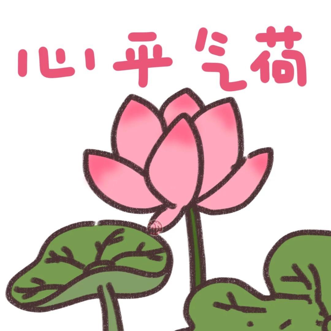 噢耶小美含