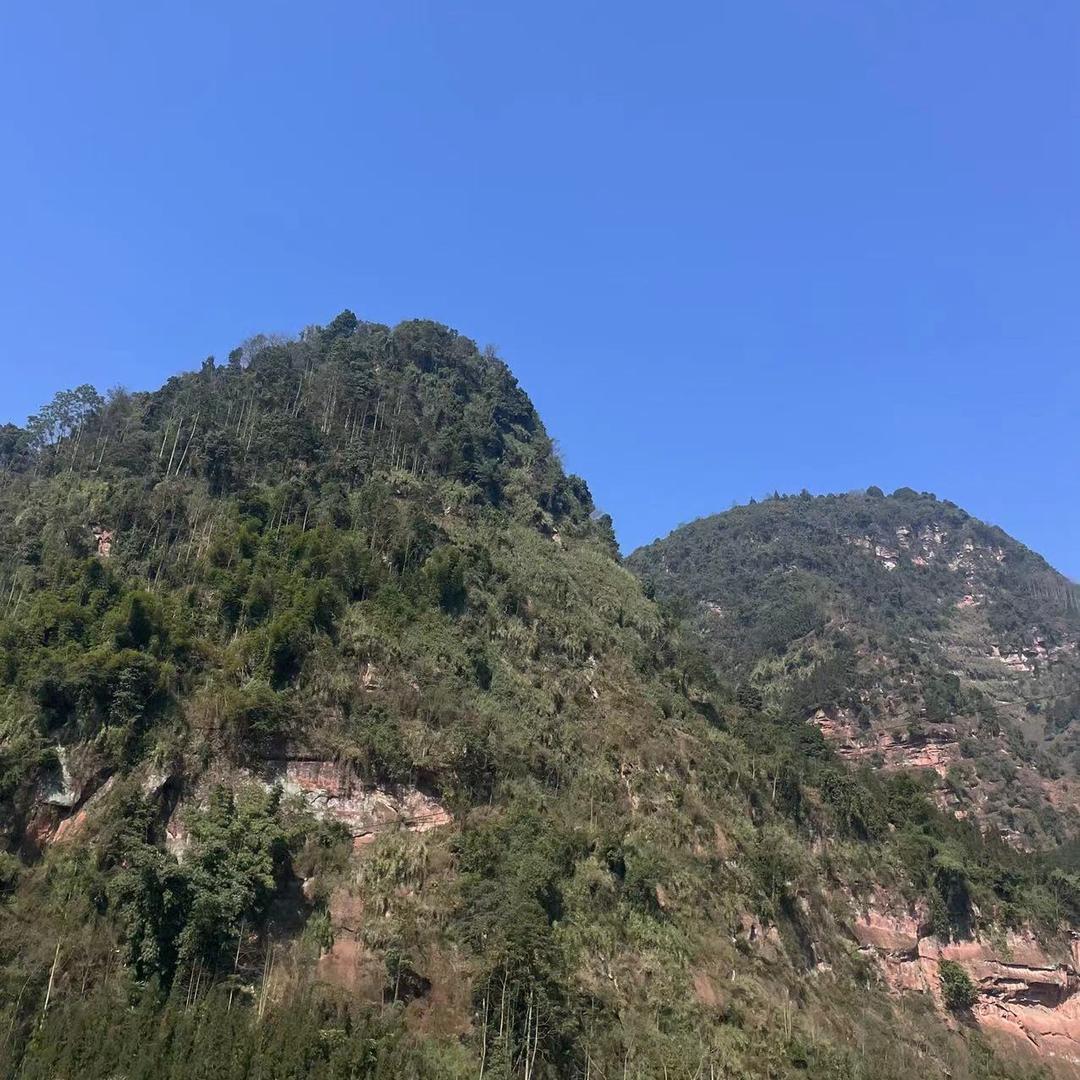 好兄弟