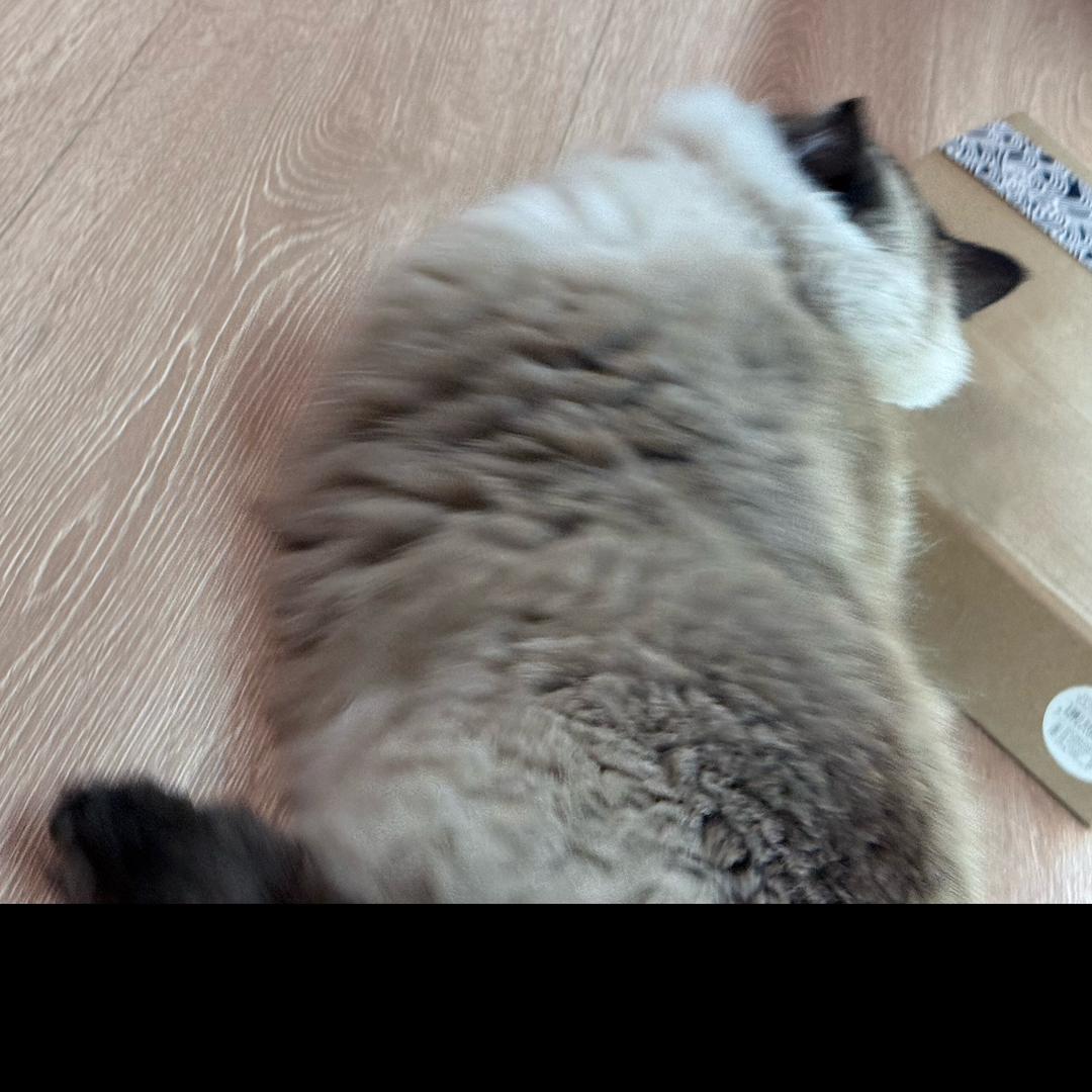 注销