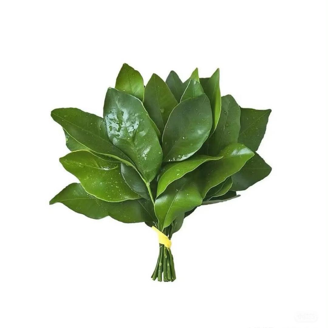 好 烦