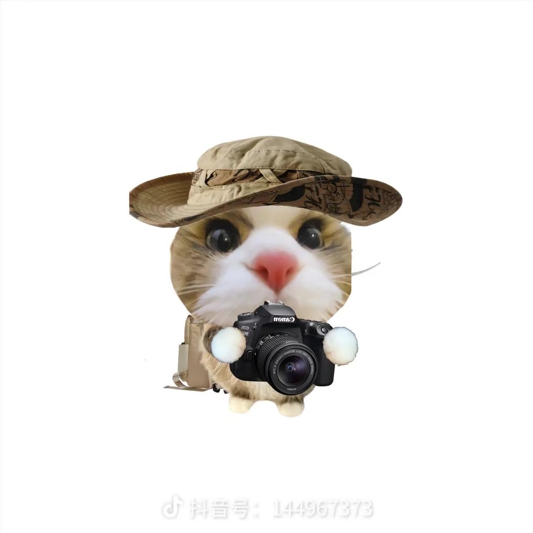 止于智