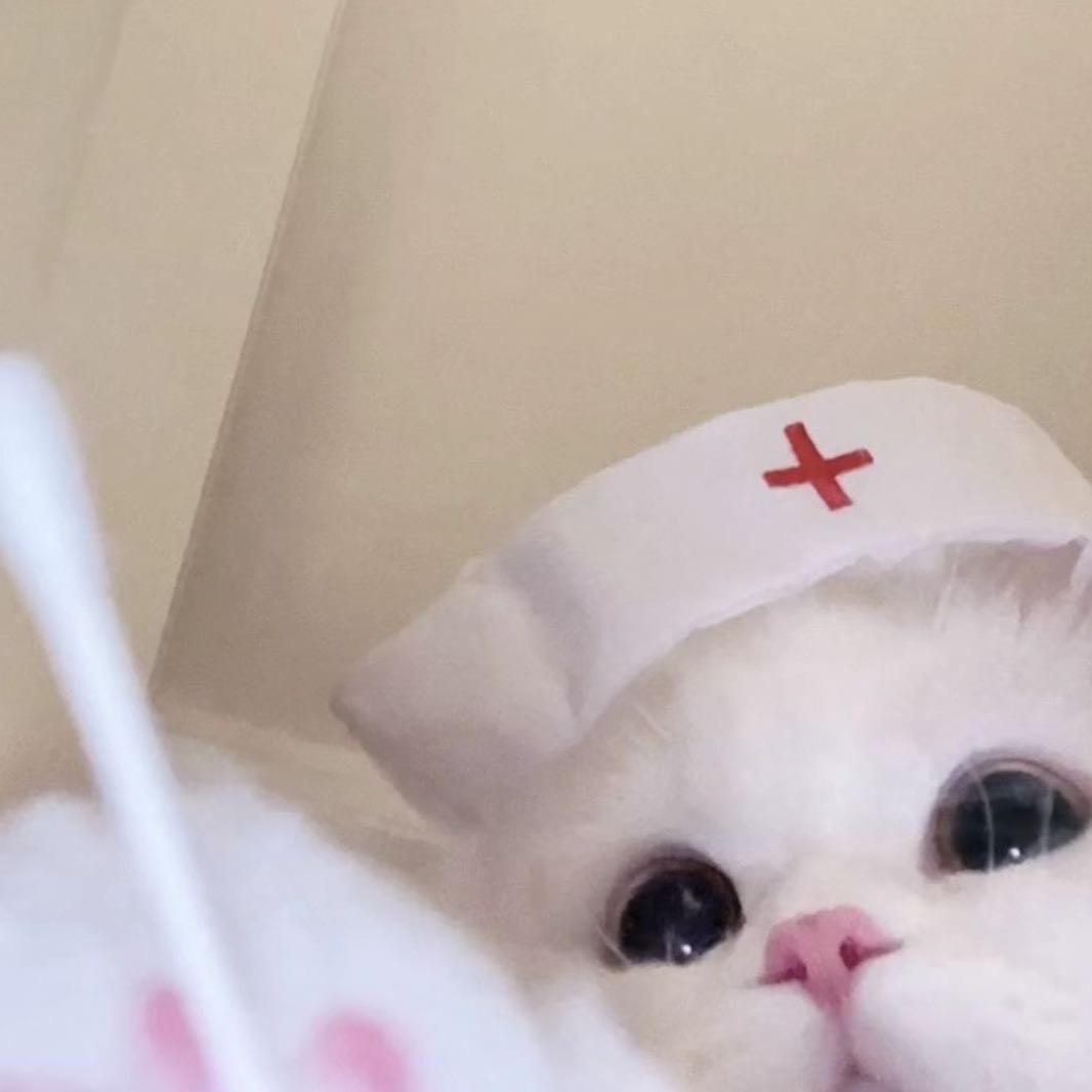 是宜
