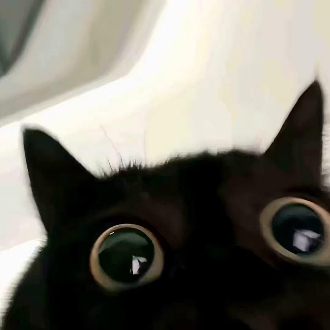 版纳慢摇酒吧 傅少