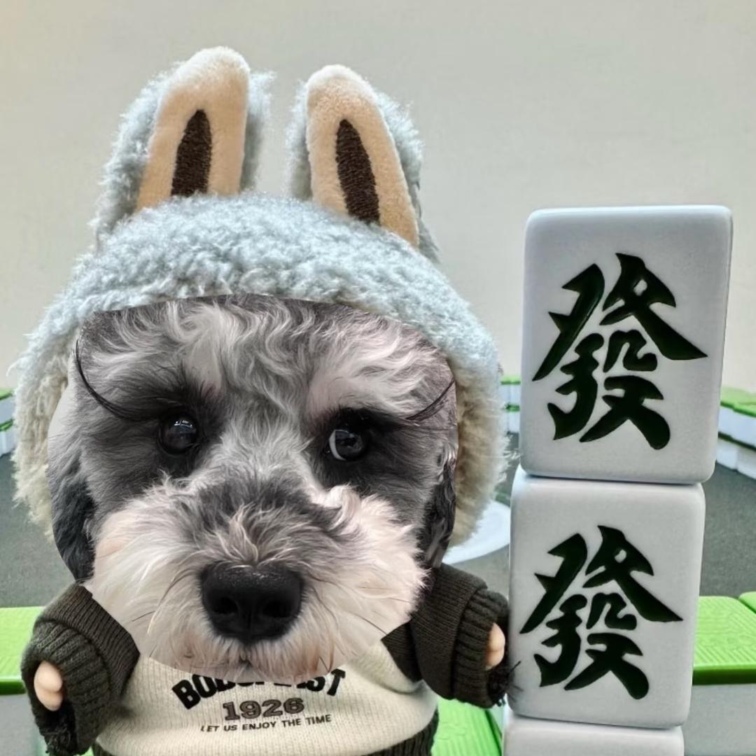 泡泡呀🫧🫧