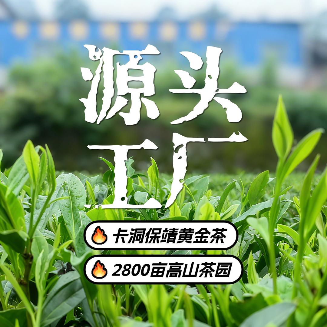 茶里无畏