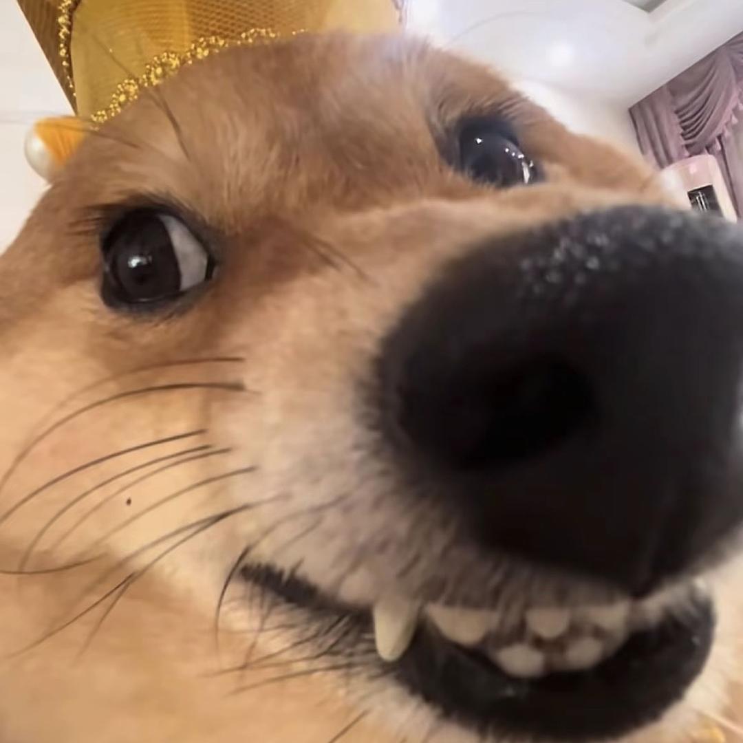 想翻身的18岁穷小子