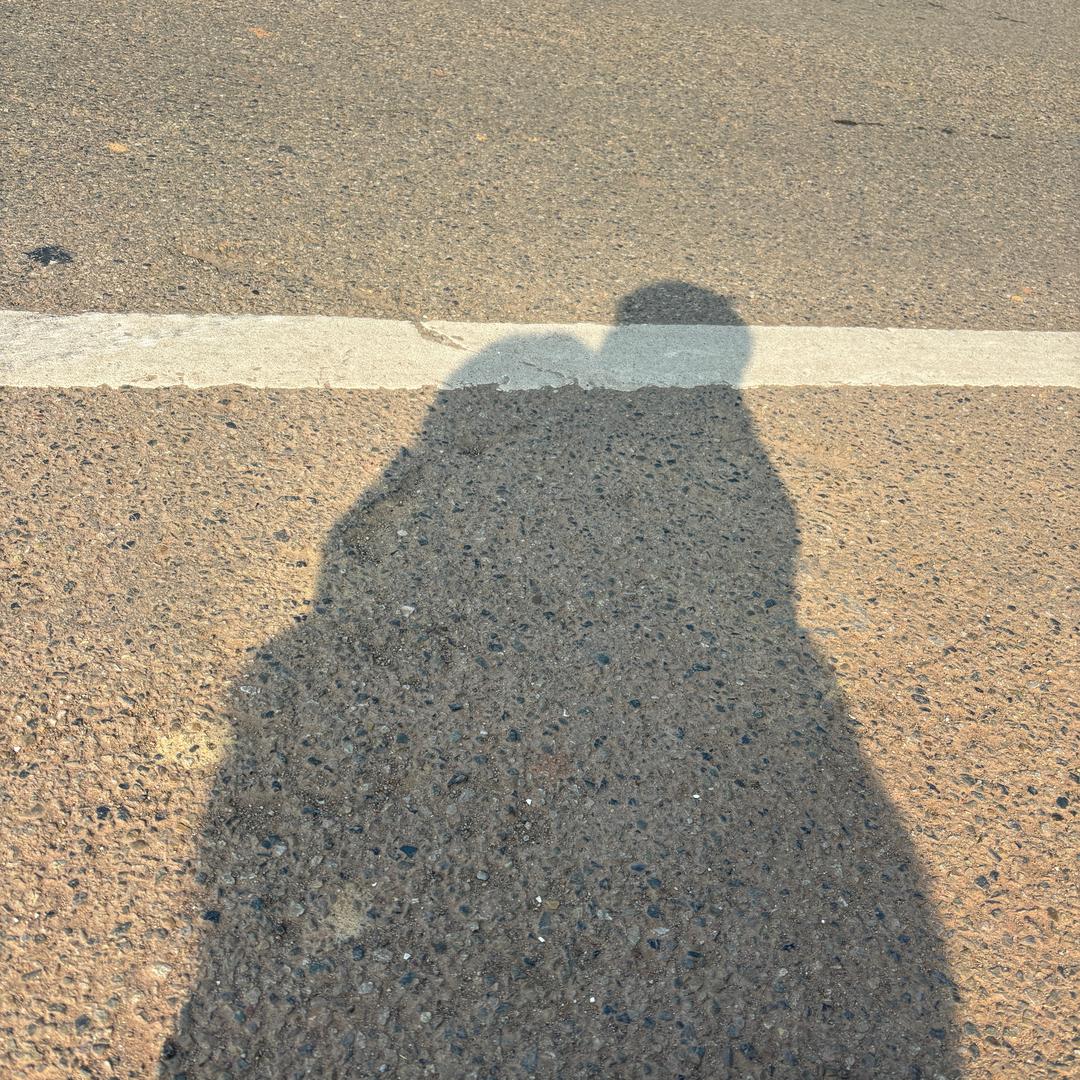 一只黄的姜姜鲜