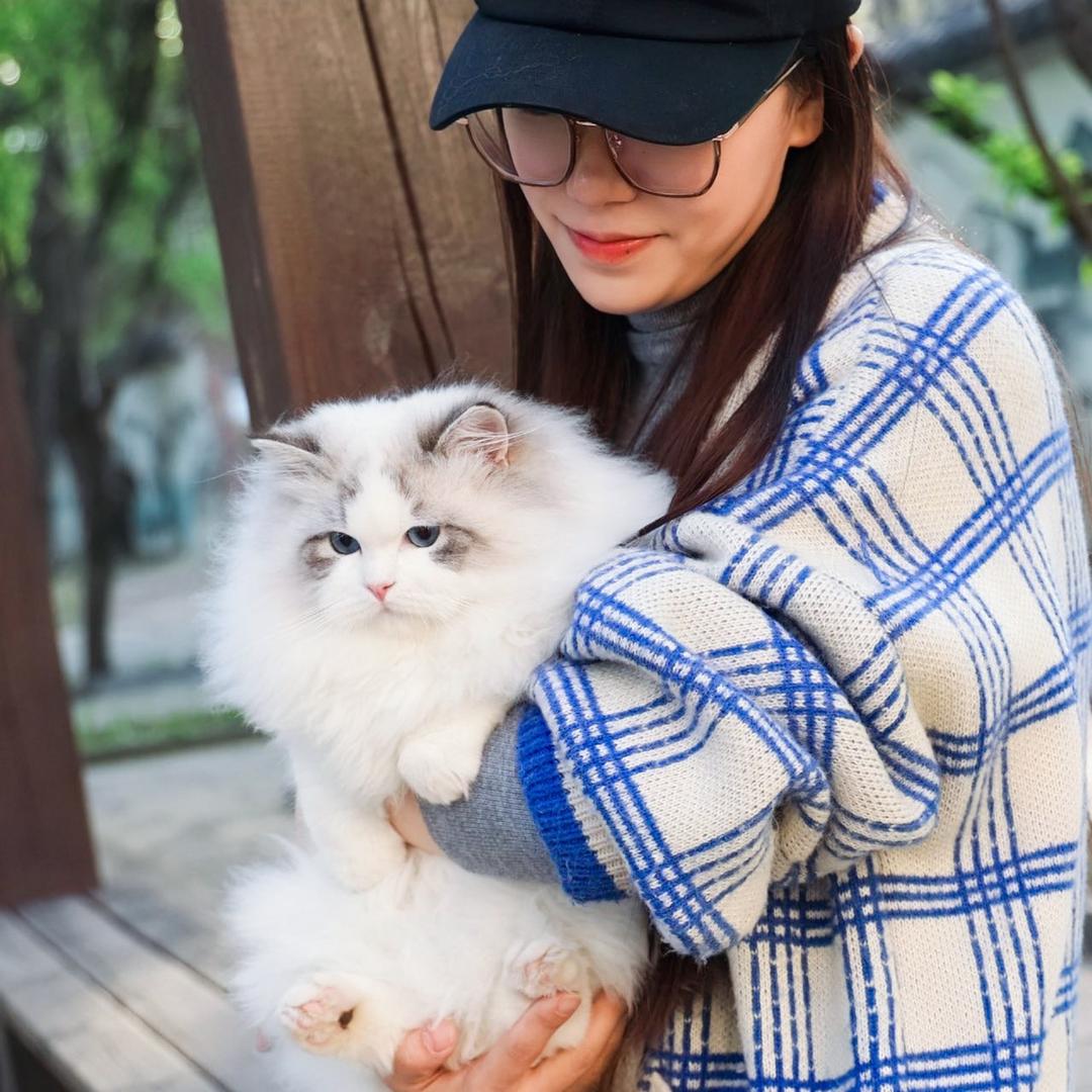 小姨家的猫舍