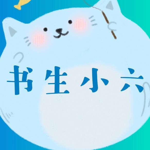 练字小书生