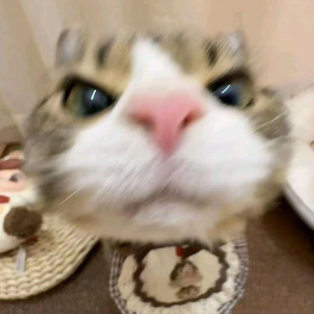 zzzzk