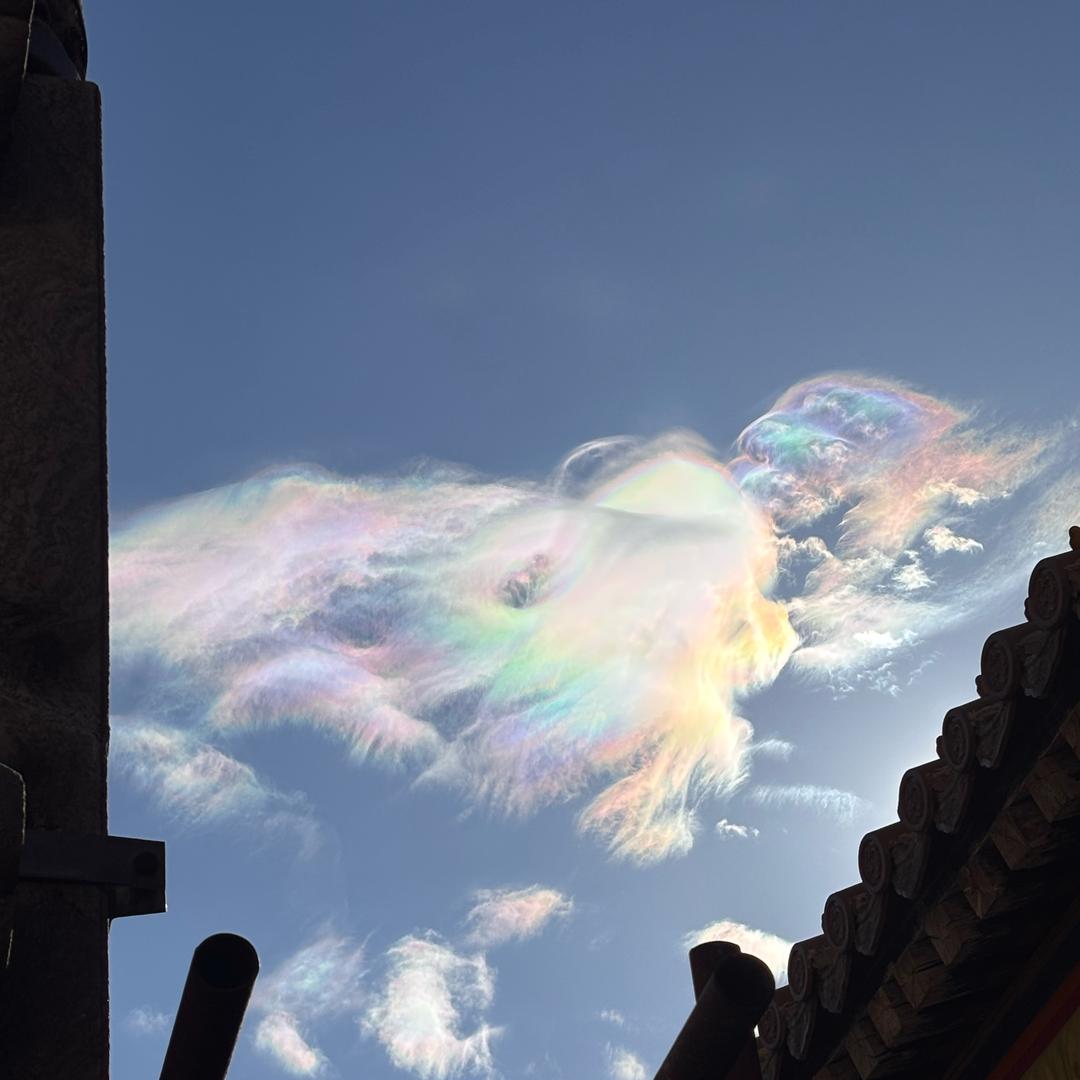 嘿嘿