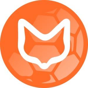 智狐体育⚽️