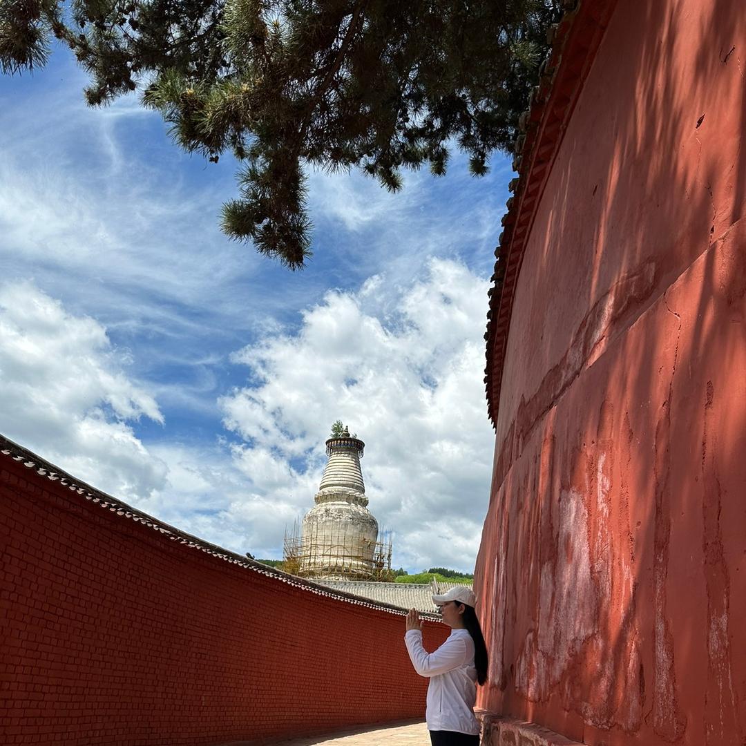 大型二手钢结构工程