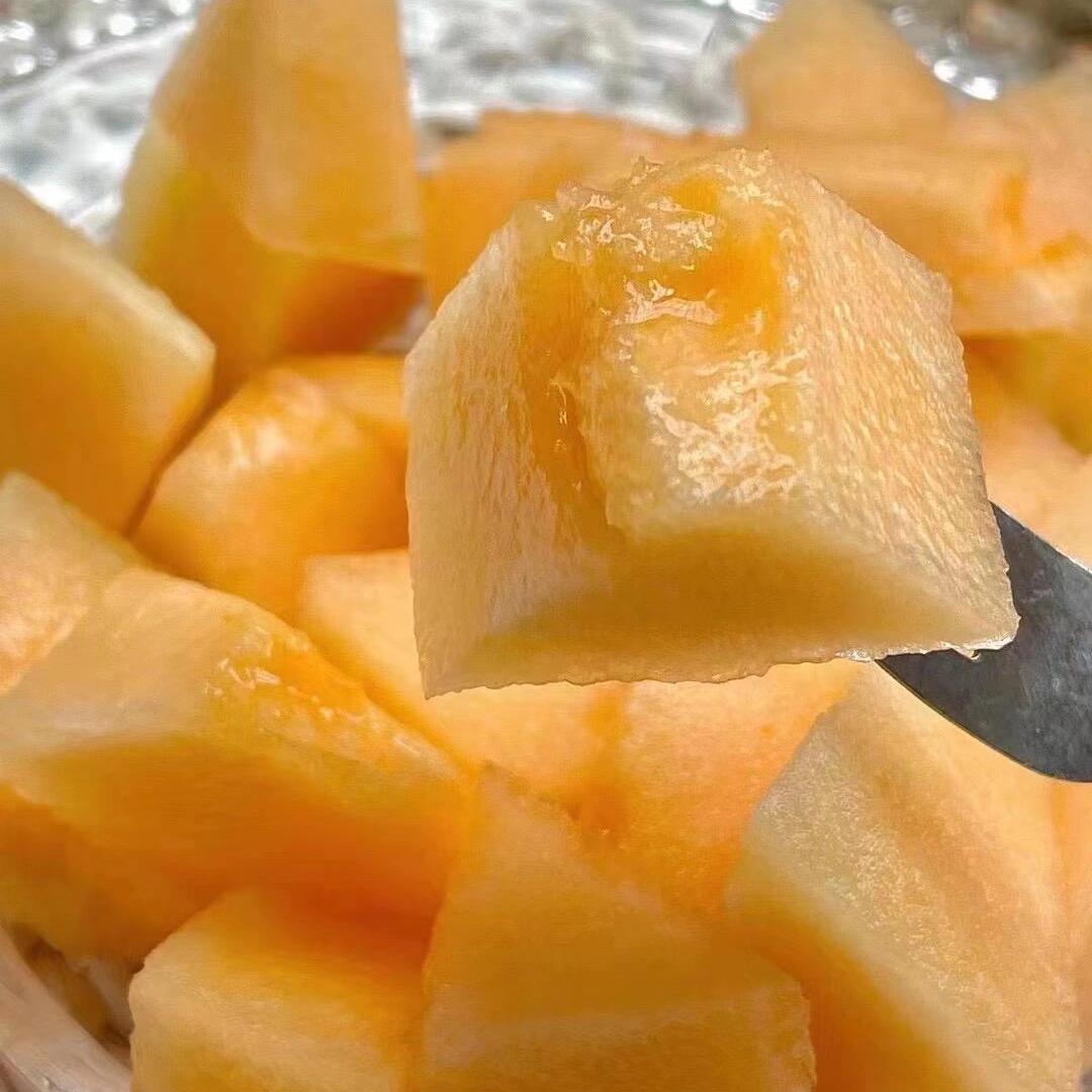 大夏