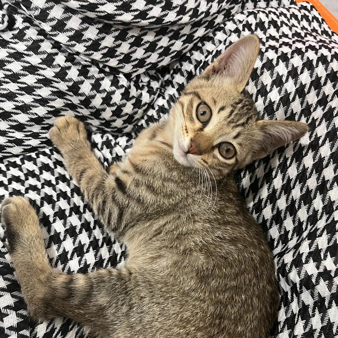 🌈小猫᳐猫᳐ ੭