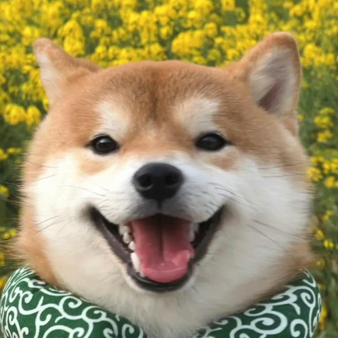 尾巴的尾巴