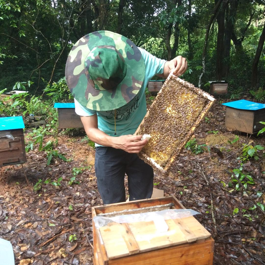 龙门县龙华镇财富蜜蜂销售部