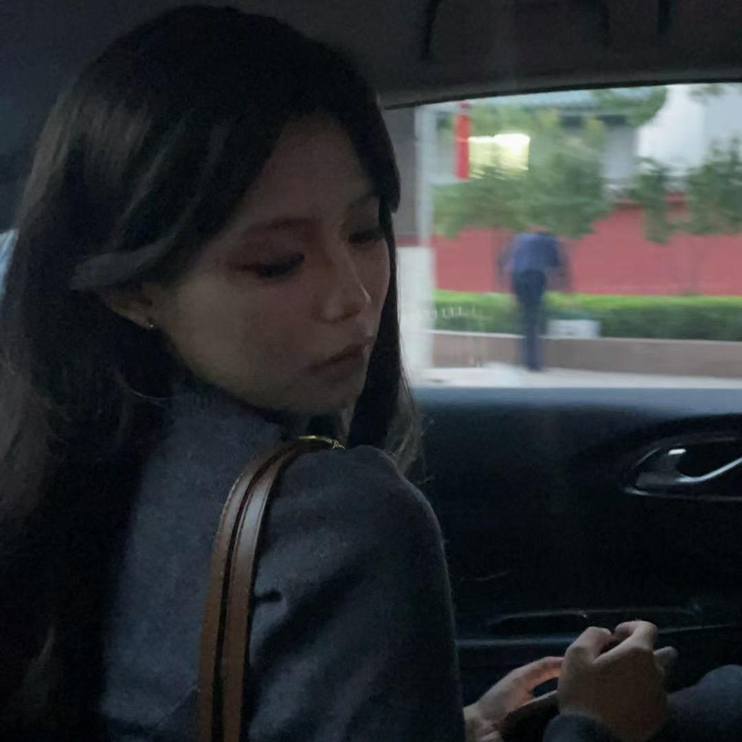 不吃凤梨酥苏