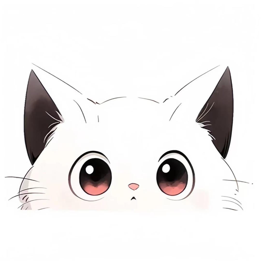 于额宝