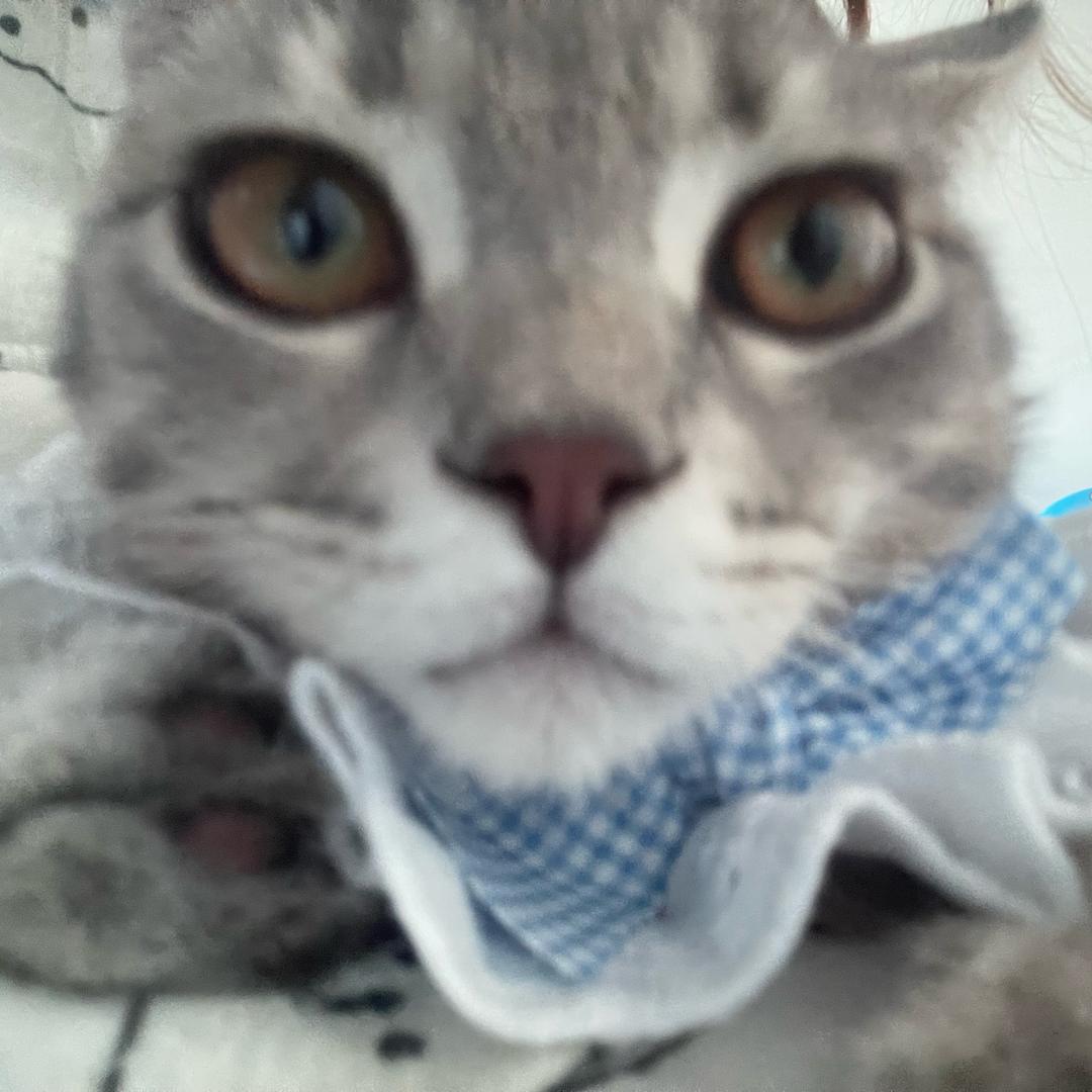 小于小于.