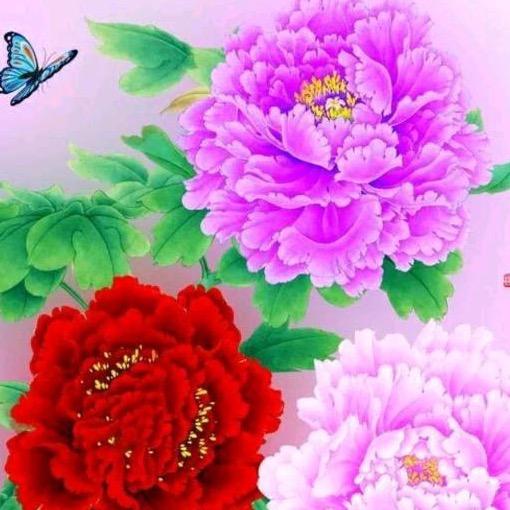 🌈家和万事兴🌈