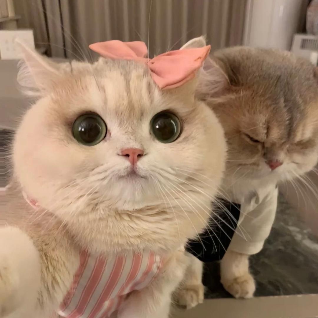 薪响事成😜