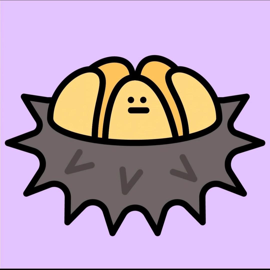 肉嘟嘟的小海胆