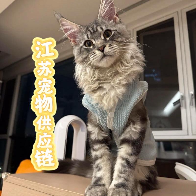 江苏宠物供应链直播号