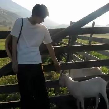 y.