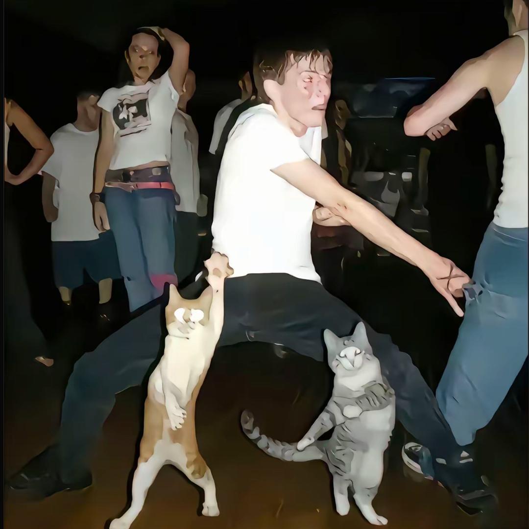 成功的概率为一个贼儿柔