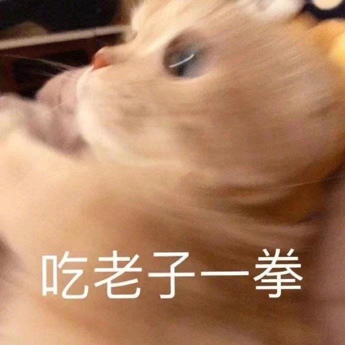 方便面大王