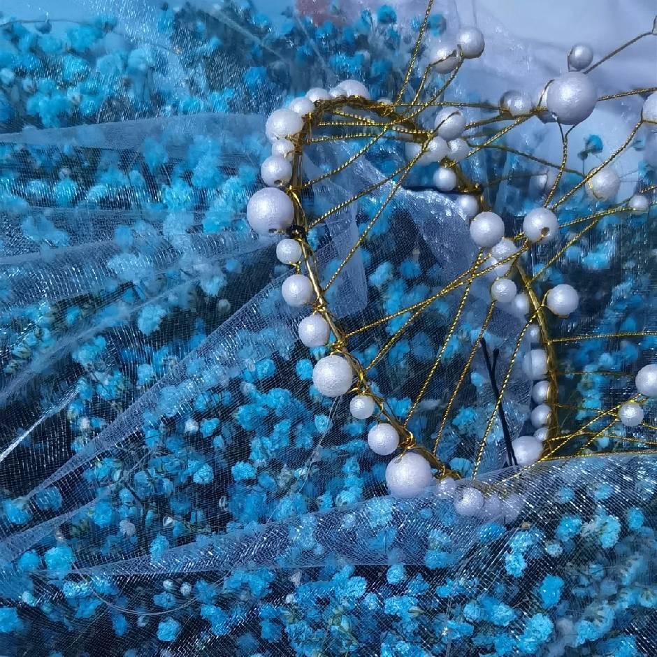 💎 梅子