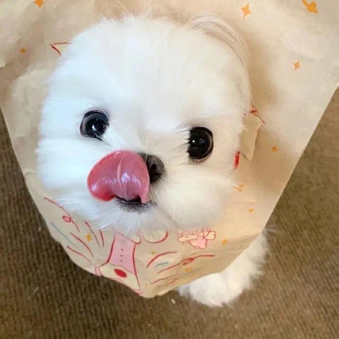 如果我不是屌丝