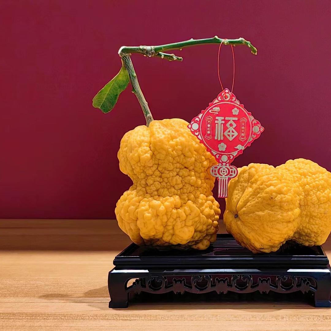 伟业速达食品经营部