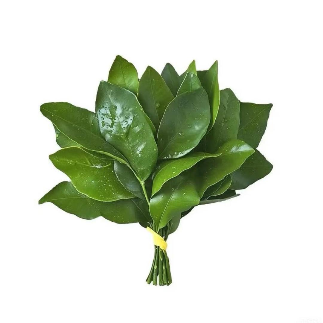 磕露思
