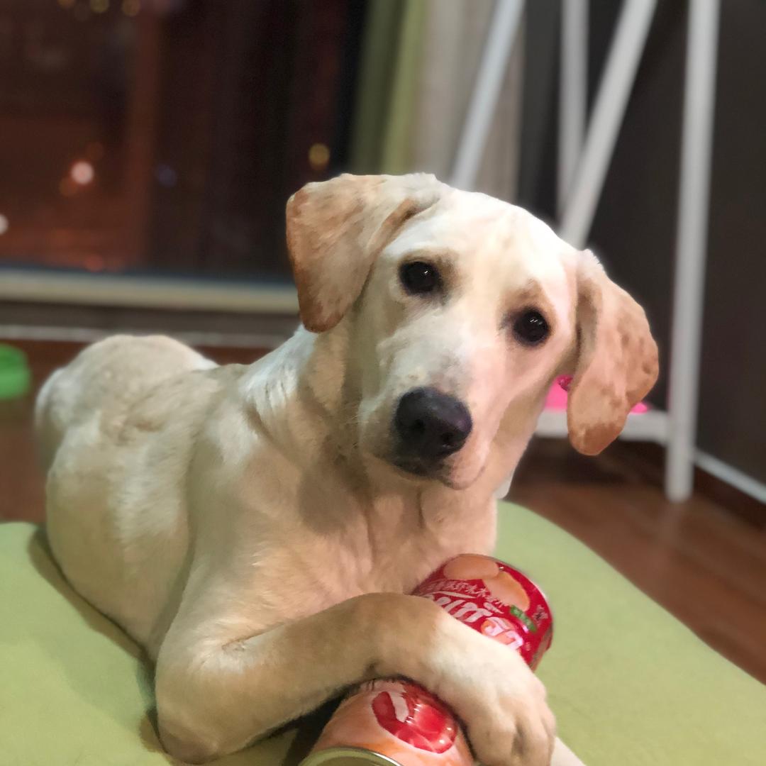 c c c c c c