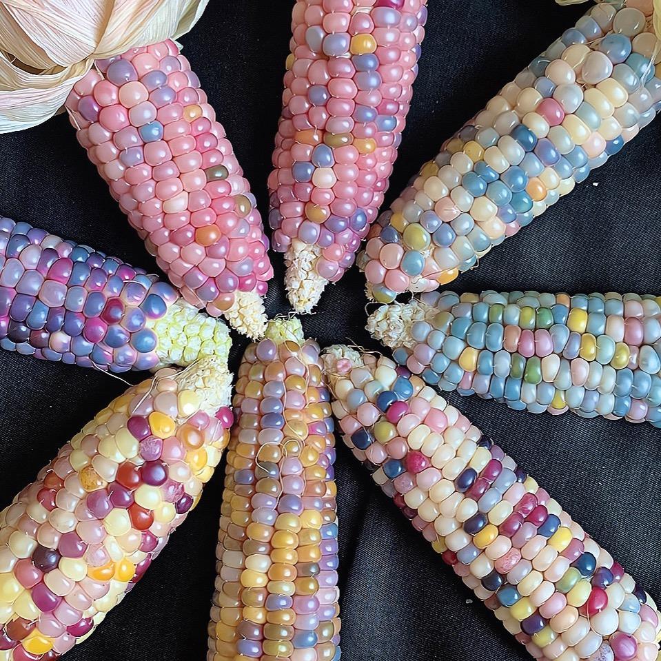 沫沫🎊