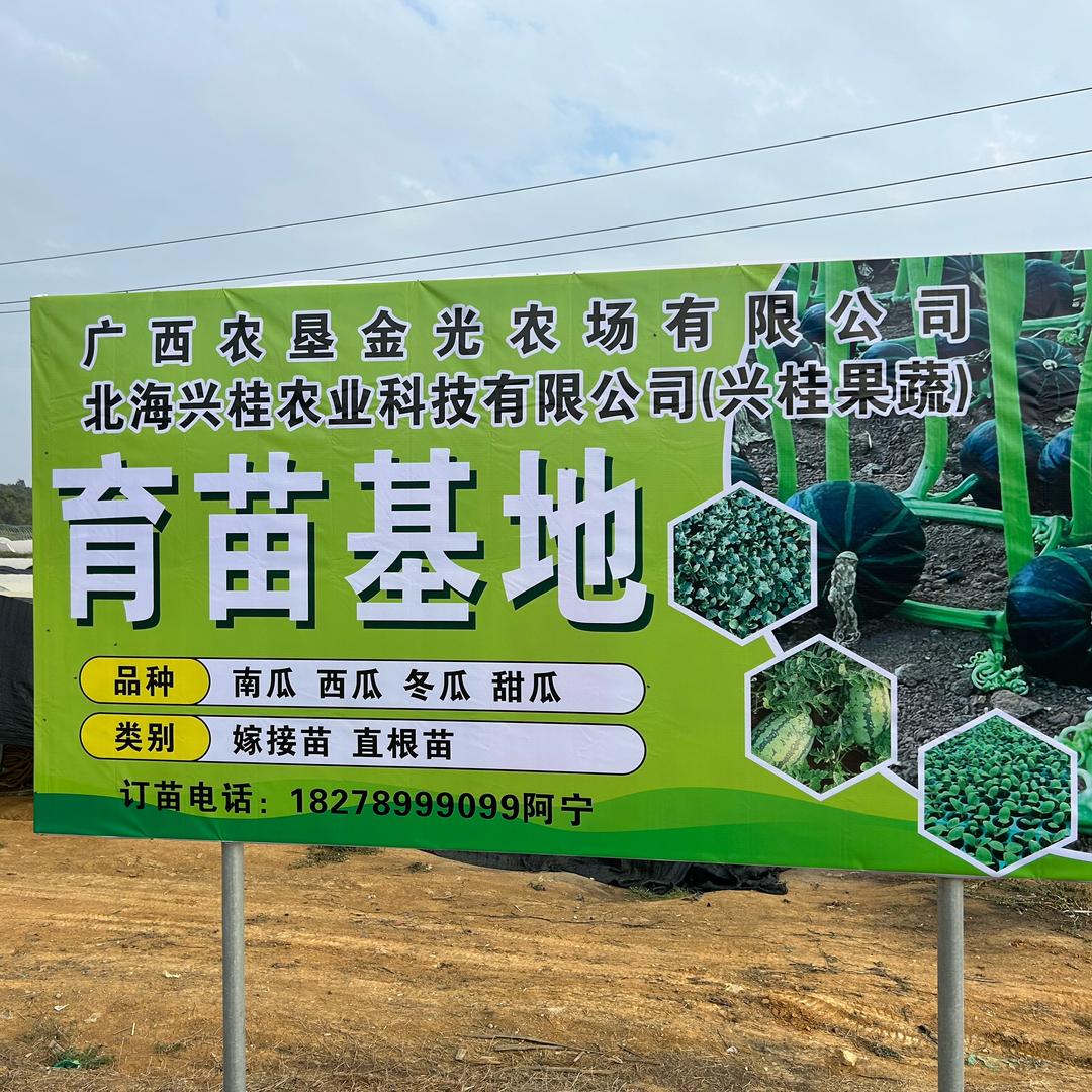 兴桂农业