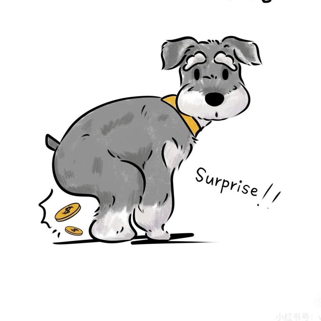 🥳我嘞个逗🥳