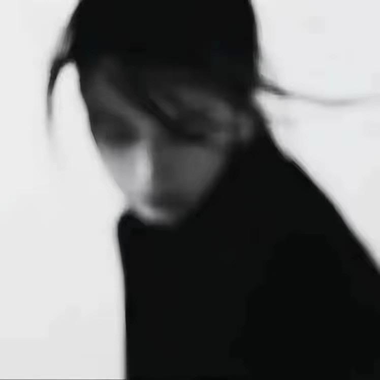 AA狗粮批发周哥