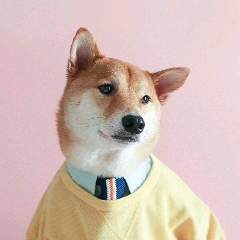 陆离要看剧