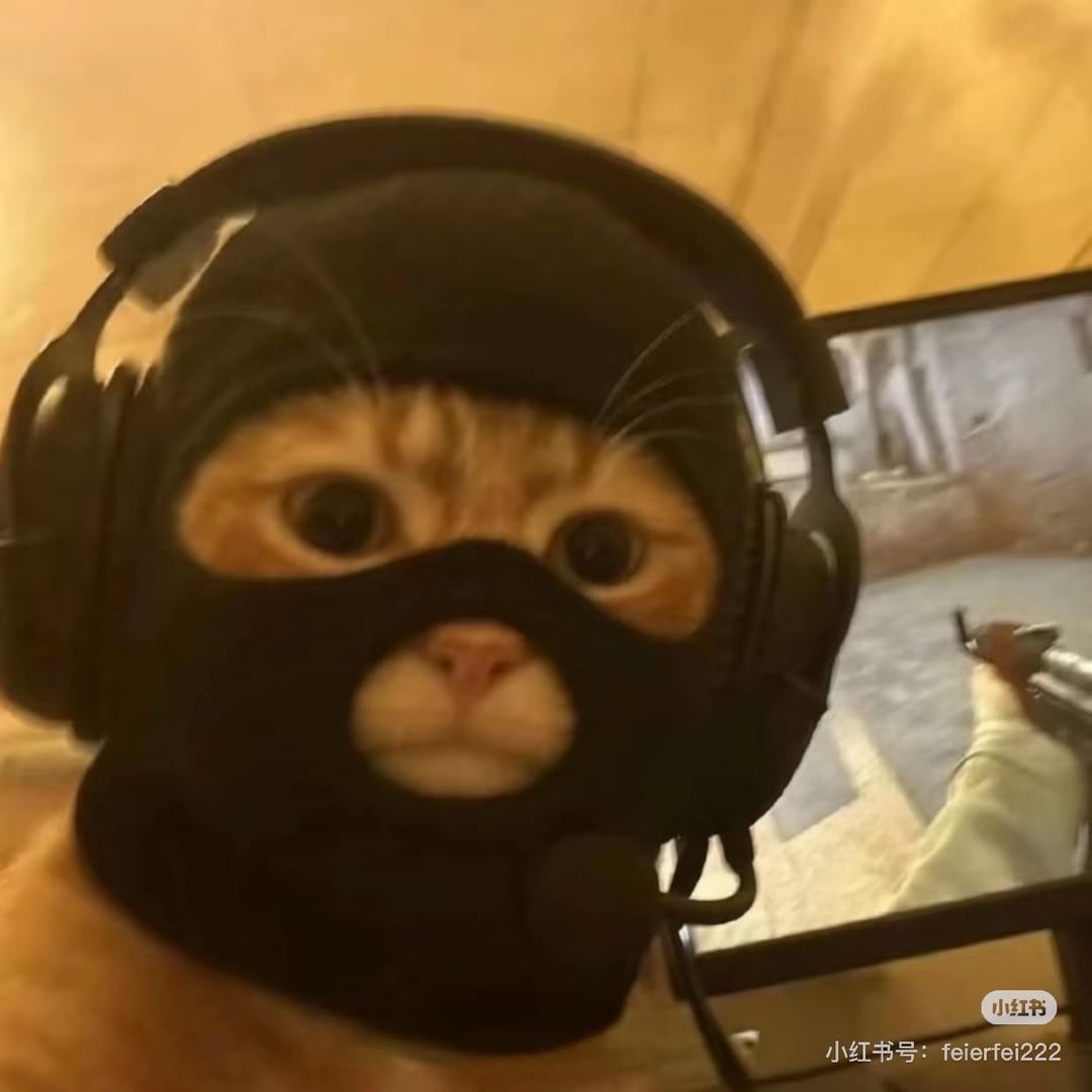 弗雷尔卓德-911（拜师李子健）