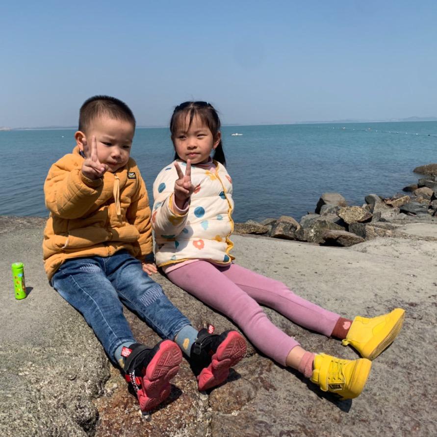 海棠依旧