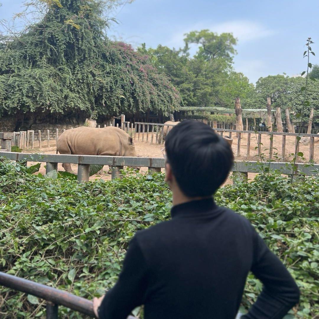 佛系