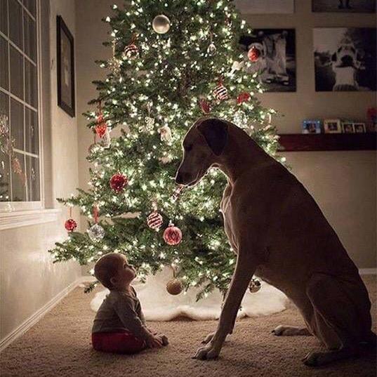 Intellectualinterest