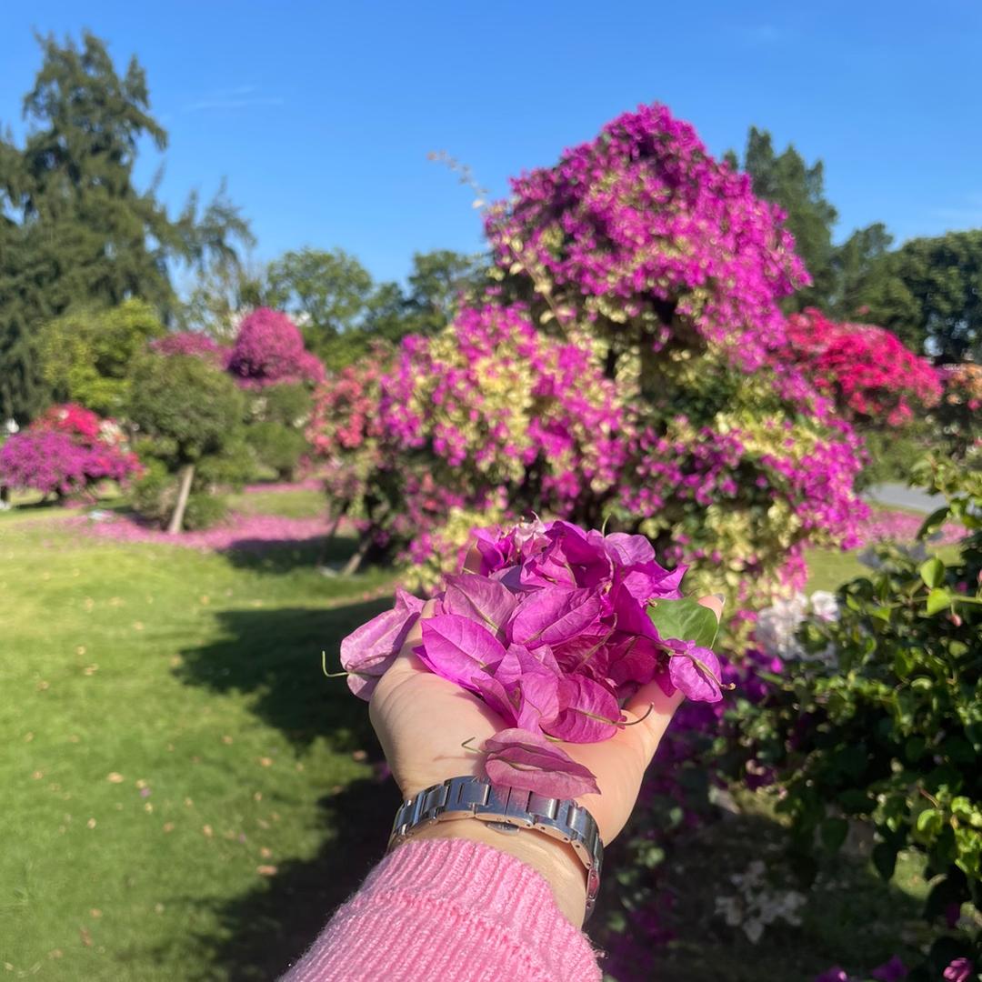 白开水：Sim18999