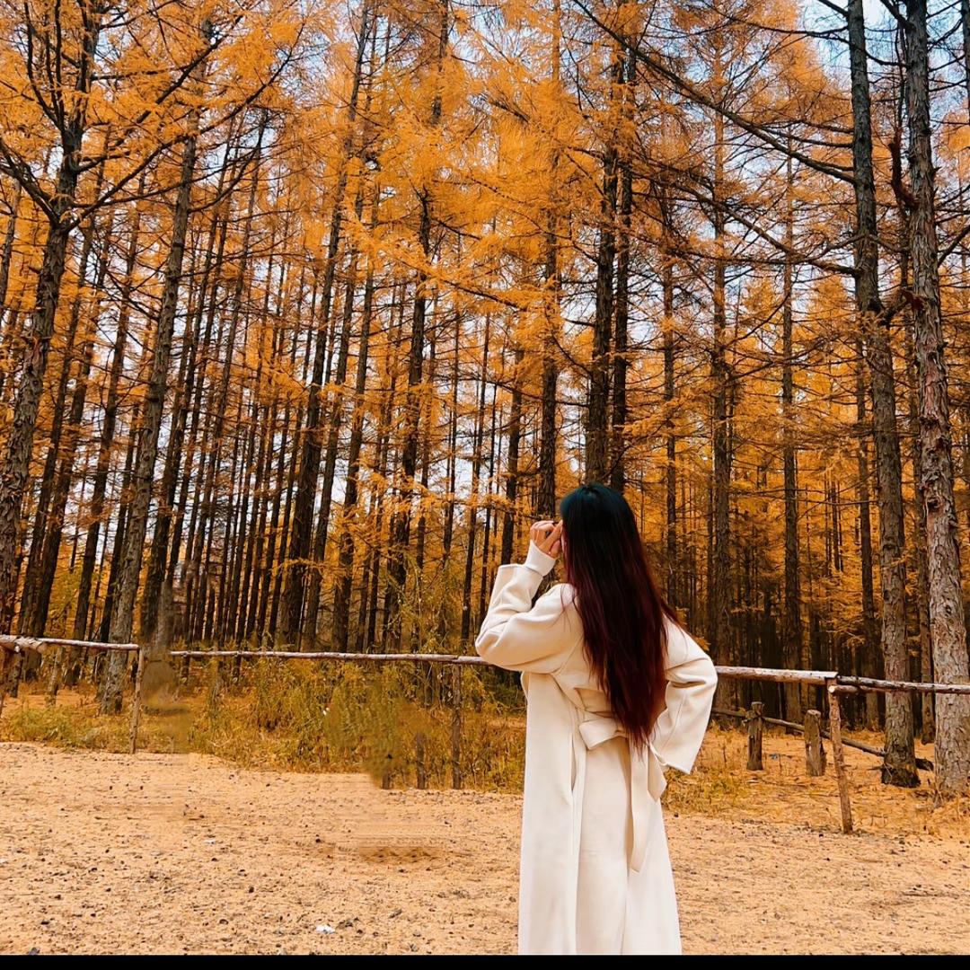 A乐乐（延吉）💗