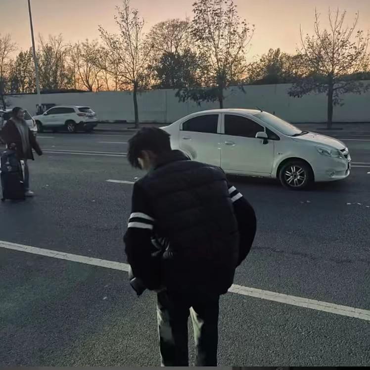 情磕