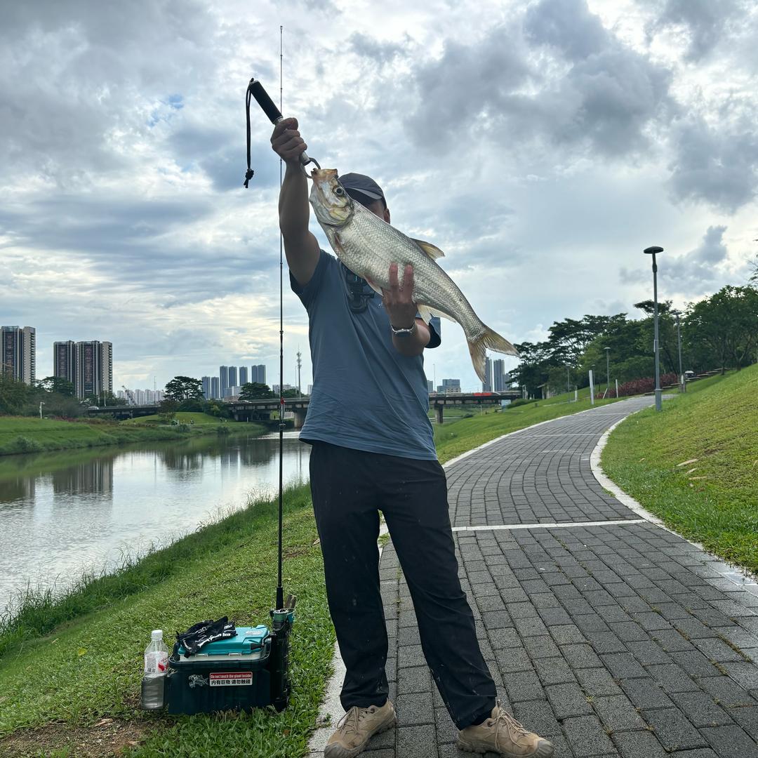 路不归路亚日记。