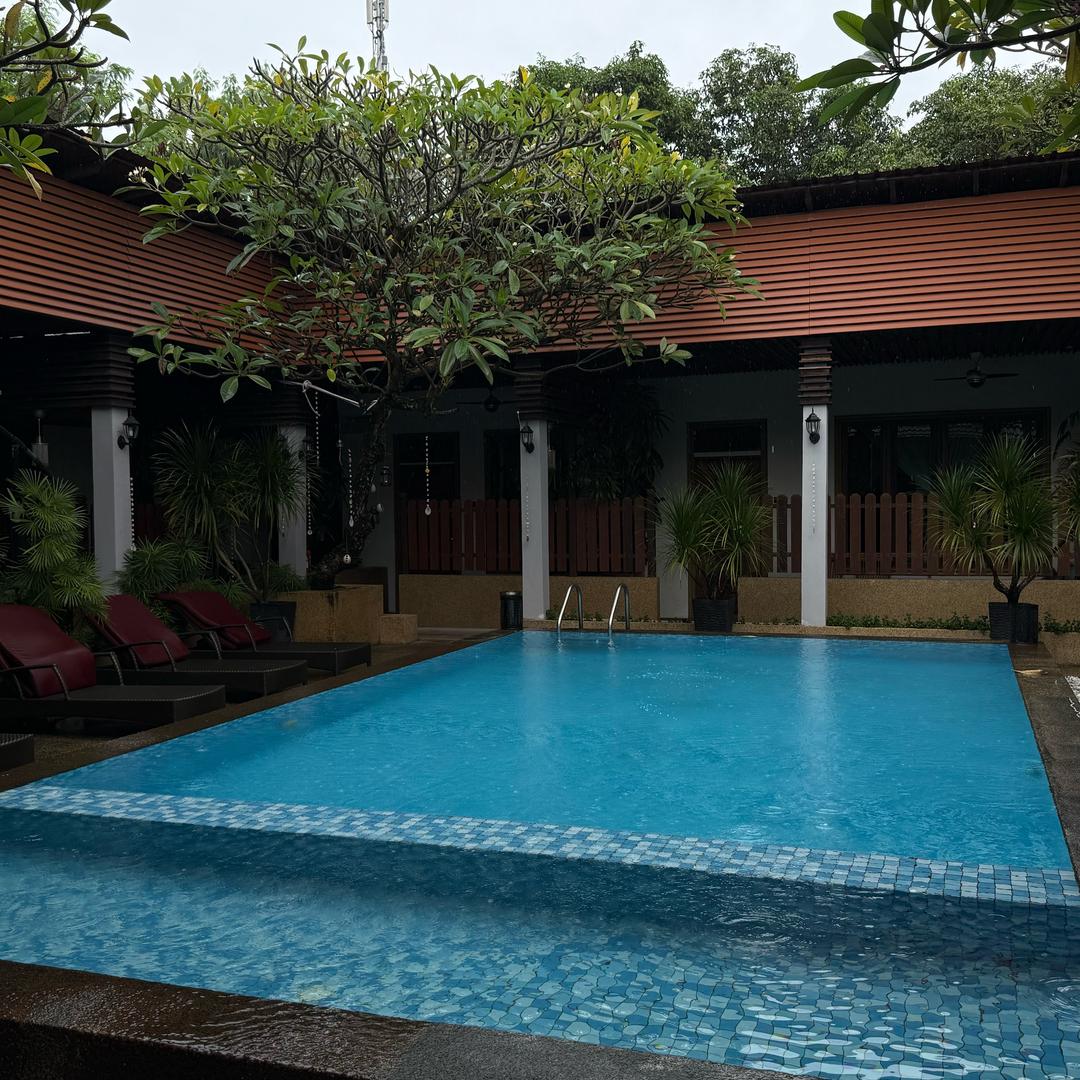 一只二狗子的猫